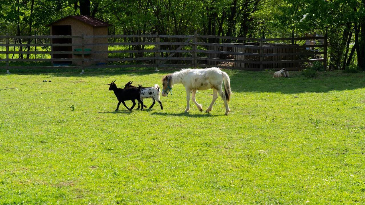 Farma Zelena Ruza Villa Klacno ภายนอก รูปภาพ