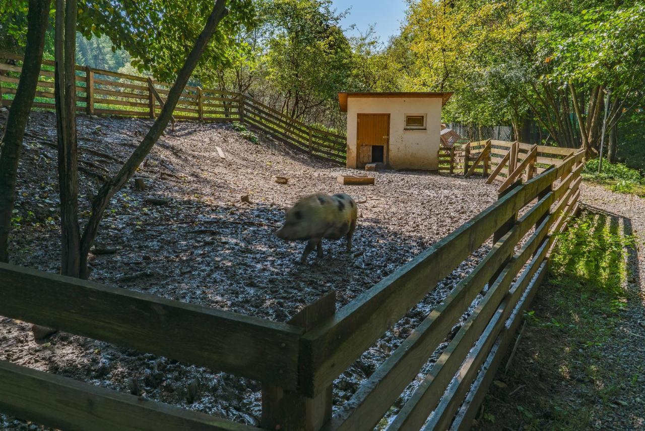 Farma Zelena Ruza Villa Klacno ภายนอก รูปภาพ