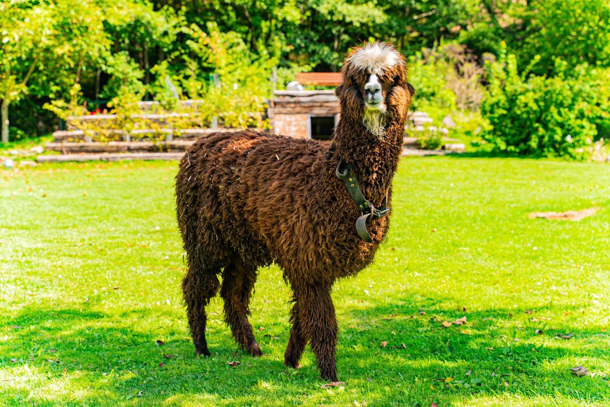 Farma Zelena Ruza Villa Klacno ภายนอก รูปภาพ