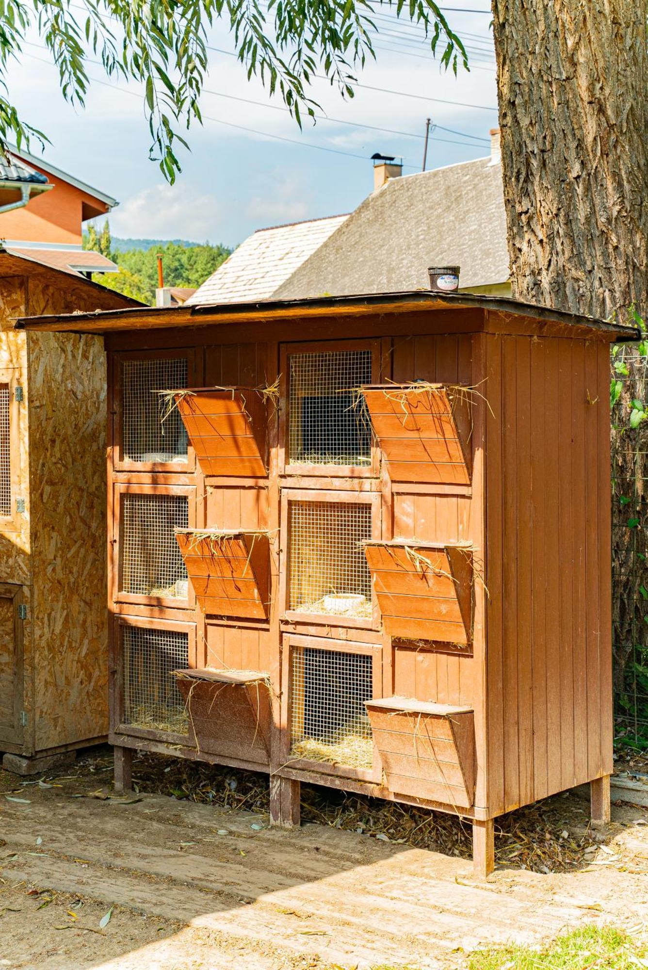 Farma Zelena Ruza Villa Klacno ภายนอก รูปภาพ